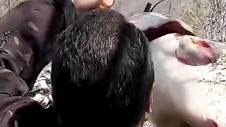 Epic Wilderness Roast: Fish Cooked Underground in Fierce Fire!