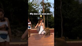Monkey business Compilation