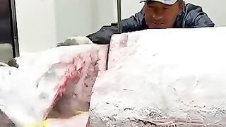 Massive Frozen Tuna Cutting in Japan | Fresh Seafood Experience