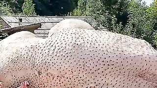 Giant Ostrich Roasted Under a Barrel! Unbelievable Outdoor Cooking Feat