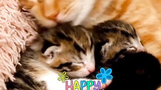 Mother's day whishes