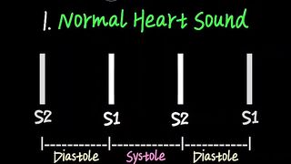 Heart Sounds and Murmurs