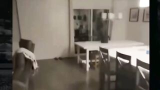 terekam di kamera