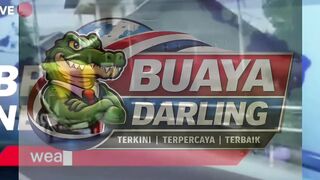 Seekor kuda lepas kendali tabrak mobil di Bantul, tanpa korban. Pemilik legowo heboh #Berita #Bantul