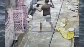 Breaking news: monyet WWE debut! Pemilik auto jadi karpet hidup ???? #RKO #MonyetGila #NgakakParah
