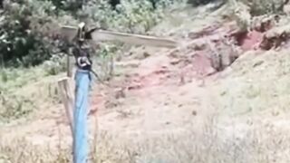 PART-2 try not to laugh