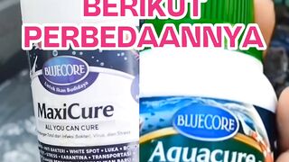 Perbedaan MaxiCure vs Aquacure❗AWAS jangan gagal faham