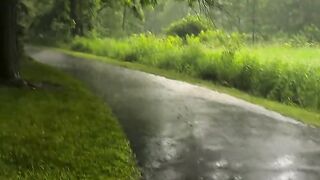 Peaceful place 2
