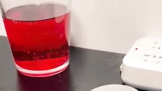 The FUNNIEST Cat Videos!