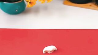 The Secret to Perfectly Sized Portions! Adjustable Kitchen Master