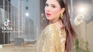 Beautiful Fancy Sari 2