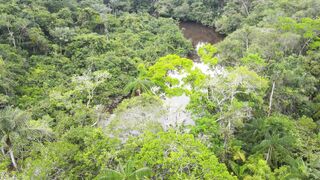 Amazon Areal View.
