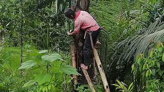 Sbelum jadi gula