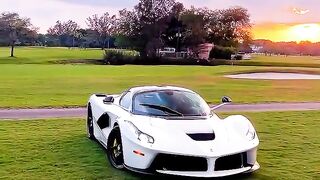Super cars 14