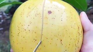Ada yang tau buah apa ini..