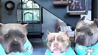 OH NO THEY ARE VERY HUNGRY MUST WATCH
