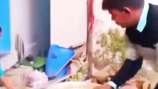 Funny videos