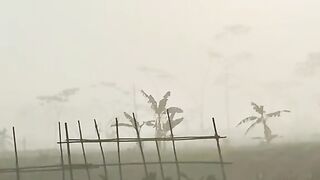 Kabut Pagi