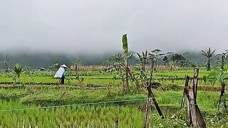 Cuacanya dingin sekali
