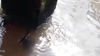 Kolam tidak kena sinar matahari (TERTUTUP) ini resikonya