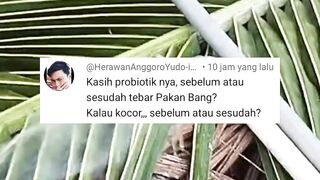 Air seperti ini WAJIB diproses dulu tidak bisa langsung digunakan