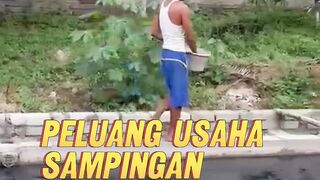 Peluang usaha sampingan untuk kalian karyawan PNS ASN Ojol dll