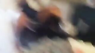 SERU DEH MAIN GINI , KARTUNYA GEDHE BANGET ANJIRRR
