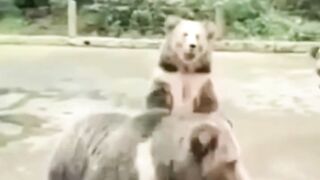 siapa yang tidak gemas dengan tingkah seperti ini