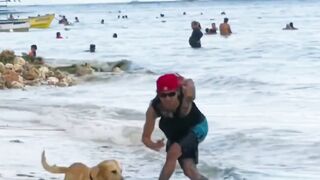 Talented Pets: From Surfing Dogs to Musical Birds!"