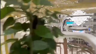 圣淘沙平台开代理