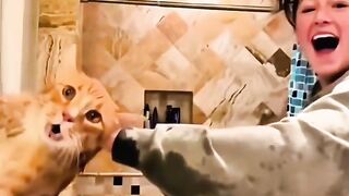 Funny cats 124