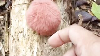 Waking up the little one
