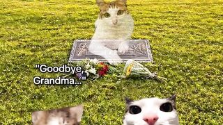 ME AT THE CEMETERY WITH MY GEN ALPHA KID