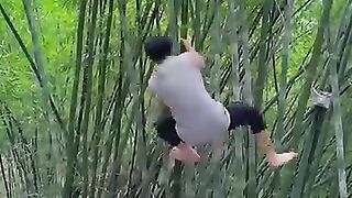 Tukang Sapu