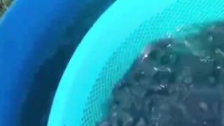 Perhatikan 4 hal ini agar lele cepat besar