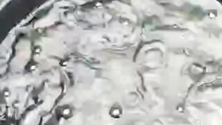 Kapan sortir pertama ikan lele❗Sekali nonton dijamin faham