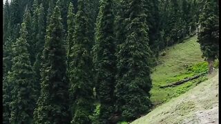 Very emotional Quran Recitation 3