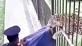 Scary Video!!