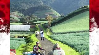 Suasana pagi sukomakmur magelang