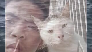 Wajahnya kembar sama kucingnya, tinggal nunggu KTP satu KK ???????????? #Komedi #Ngakak #Viral #FYP