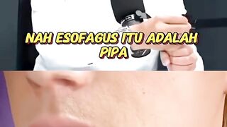 ESOFAGUS ITU ISTIMEWA  #edukasi #kesehatan
