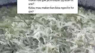 Pakan alami tumbuh dikolam secara alami dengan cara ini
