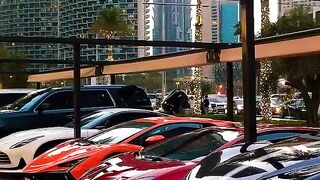 Super cars 16
