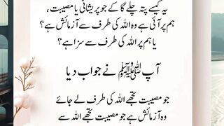 The Importance of Dhikr — Why Remembering Allah Changes Everything 2