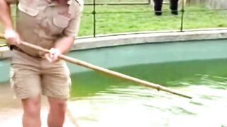 Crocodile bites zookeeper, grabs him and dives into water