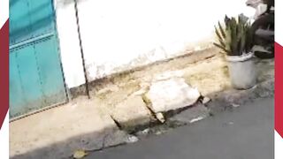 NGERI! Penjambret Incar Bocah SD di Jatinegara, Korban Sempat Terlindas Motor Pelaku ????