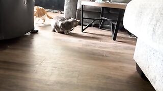Descriptive video title something or another idk