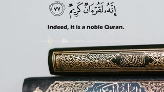 شريف مصطفى حالات واتس