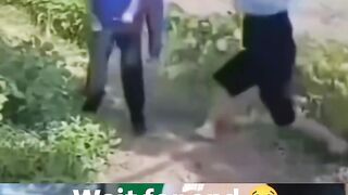 Funny videos
