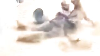 How did the cheetah attack?